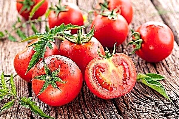 حديقة الطماطم الصيفية: وصف متنوعة وقواعد الزراعة