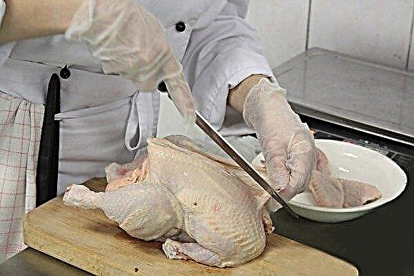 The most practical options for cutting chicken