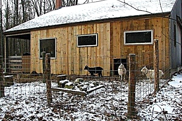 Instruction: DIY goat shed