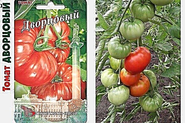 Προτάσεις καλλιέργειας ντομάτας Palace