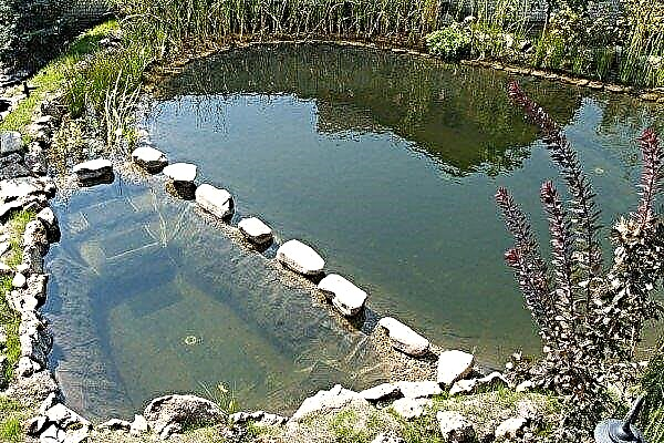 Creating an artificial pond for fish farming