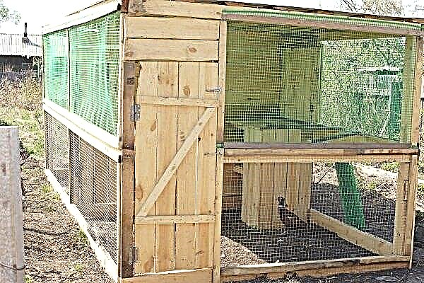 How to build an aviary for pheasants yourself? Step-by-step instructions and recommendations