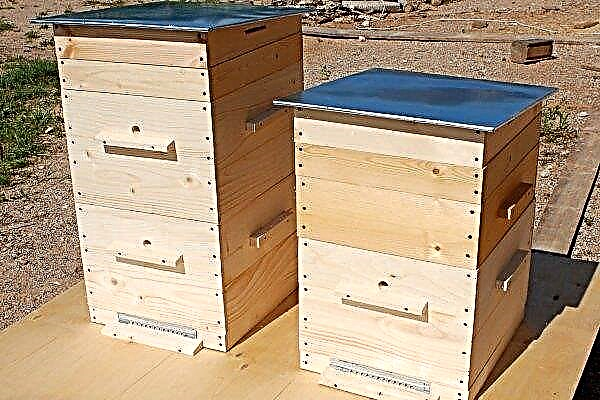 Konstruktionsmerkmale und Herstellungsreihenfolge des Dadan-Bienenstocks