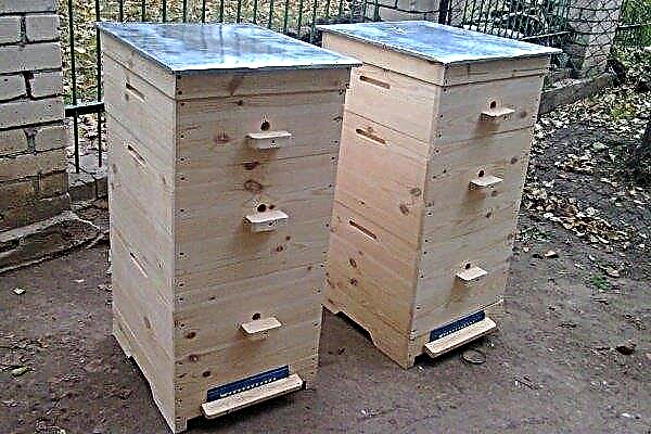Multi-ruche: conception, agrandissement et réduction de volume à différents moments de l'année
