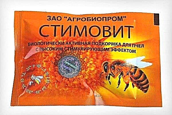 How to apply Stimovit top dressing for bees?