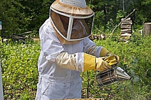 Instruksi untuk peternak lebah awal