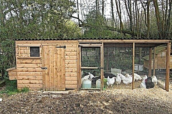 How to make a chicken coop yourself?