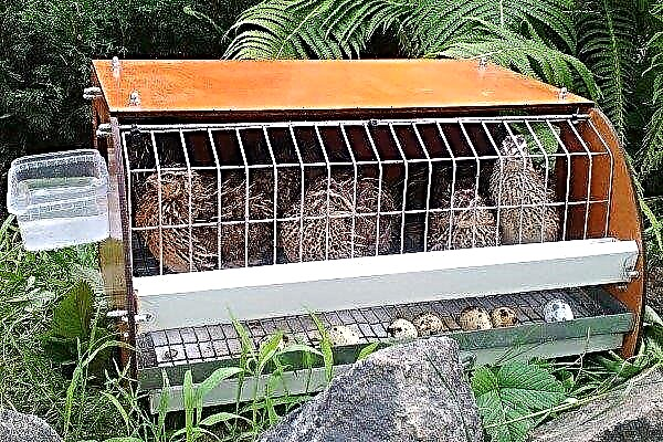 How to make a quail cage?