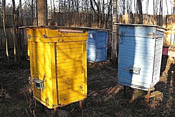Пчеларство по технологији Владимир Цебро
