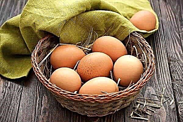 Quem se beneficia de comer ovos de galinha e quem não, e por quê?