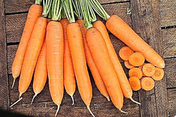 57 variedades populares de cenoura