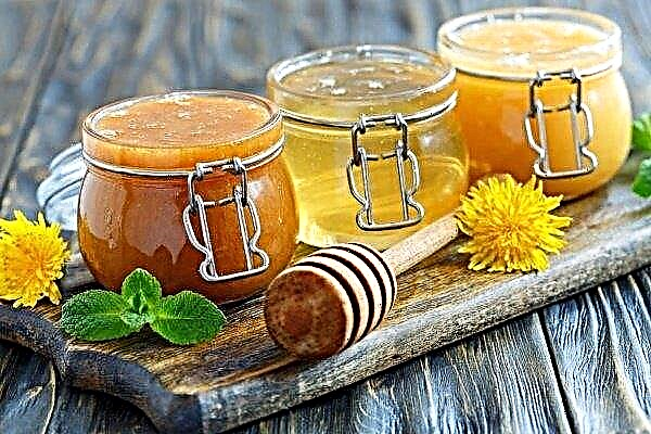 What are the varieties and types of honey?