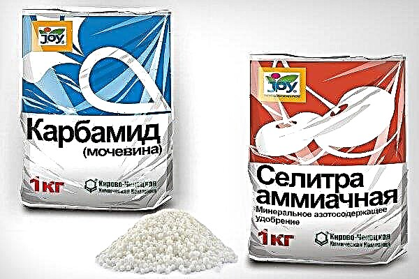 Comparative characteristics of urea and ammonium nitrate. What to choose?