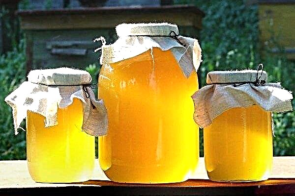Скільки меду можна отримати з одного вулика?