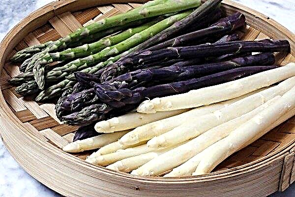 Asparagus is a Healthy Nutrition Product