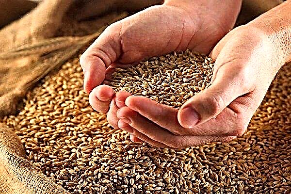 Comment conserver le blé récolté?