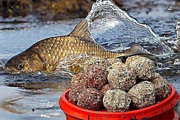 ¿Cómo cocinar comida para peces de estanque en casa?
