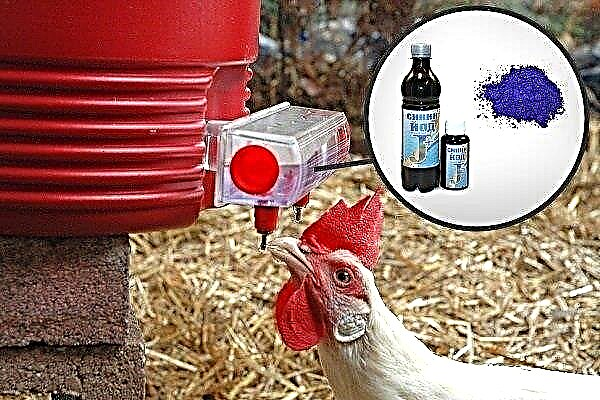 Methyleenblauw - een antisepticum voor de behandeling van ziekten bij kippen