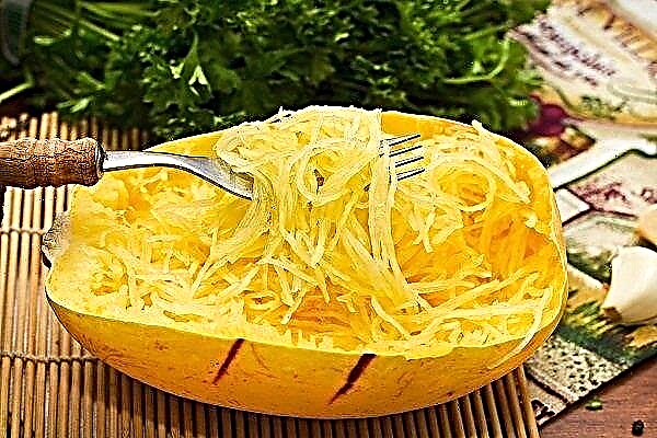 Espaguete de abobrinha - uma variedade de polpa fibrosa