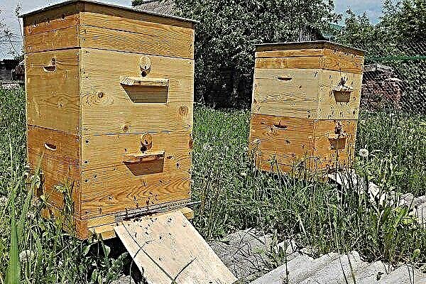 How to make a bee hive on your own?