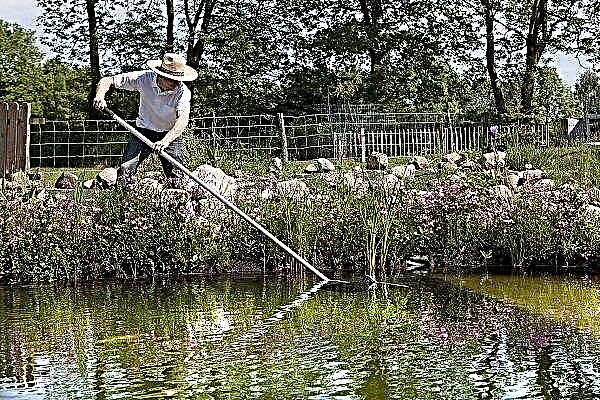 Why and how are ponds flying?