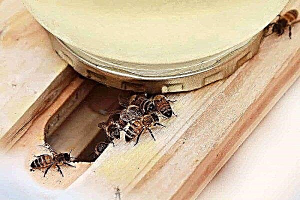 Сорте хранилица за пчеле и сами их правите