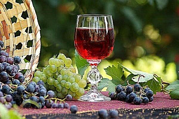 Parimad viinamarjasordid veini valmistamiseks