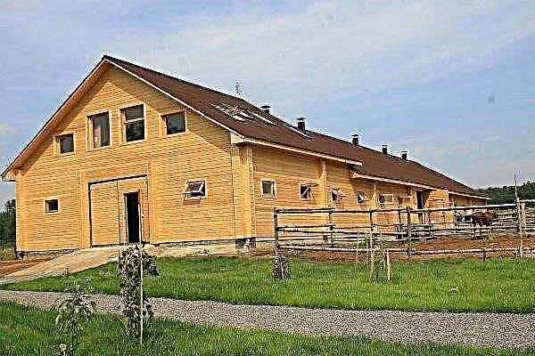 Fasad konstruktion av häststall