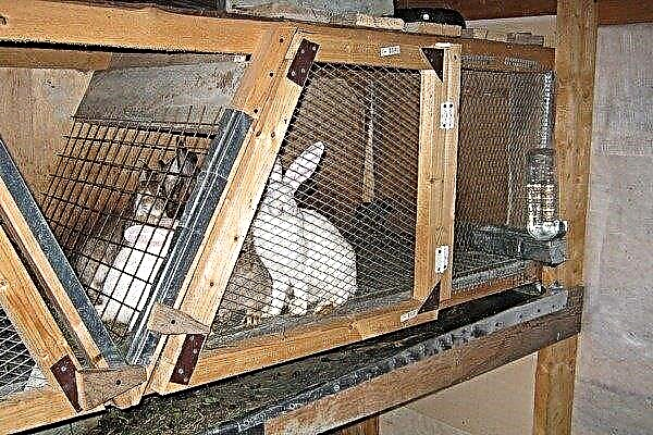 How to build a cage for rabbits with your own hands? Step by step guide