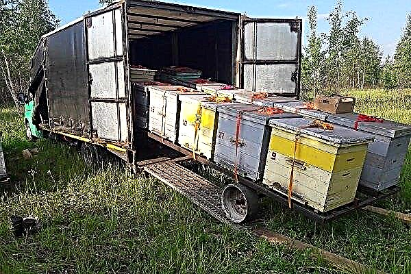 How to transport apiaries correctly?