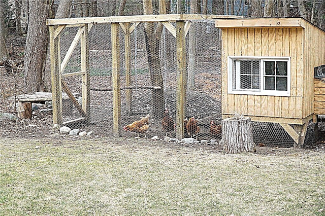 Methods and options for heating the chicken coop