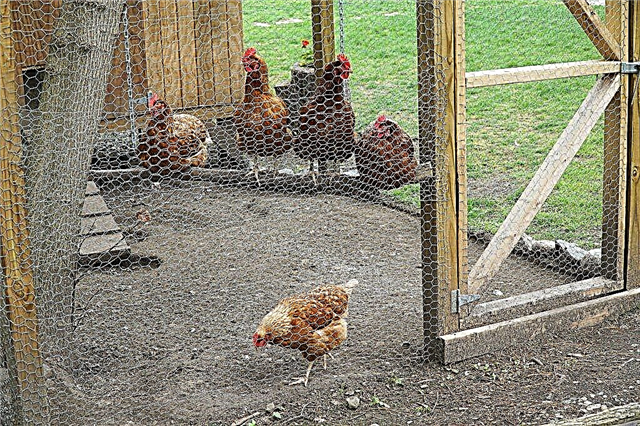 DIY بناء قن الدجاج لدجاج 10-20