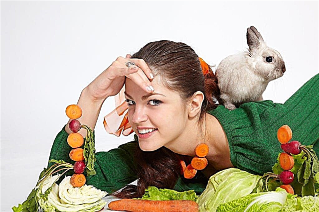 Vitaminer til kaniner: hvilke og hvorfor