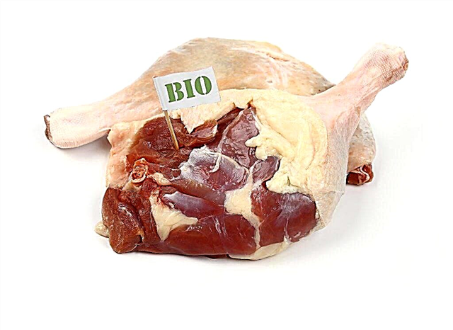 Предимствата на месото от индо-патица