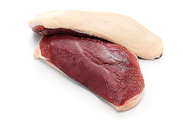 The benefits and harms of duck meat