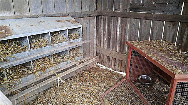 How to make a chicken shed
