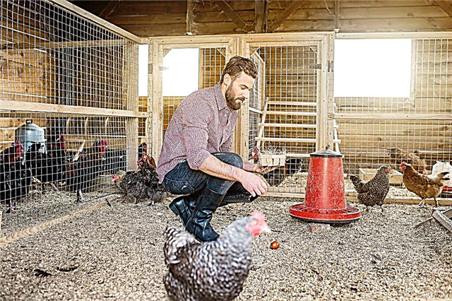 Rules for arranging a chicken coop