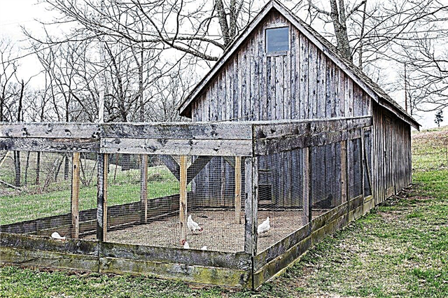 How to make a summer chicken coop with your own hands