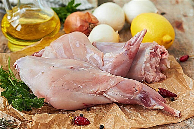 The benefits and harms of rabbit meat