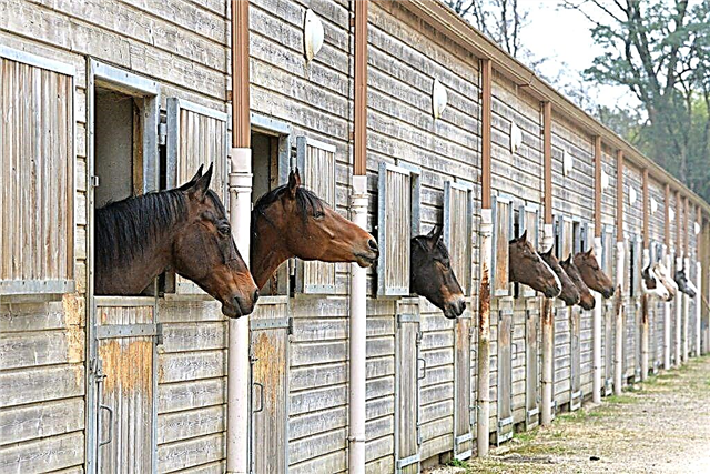 How to build a horse stable
