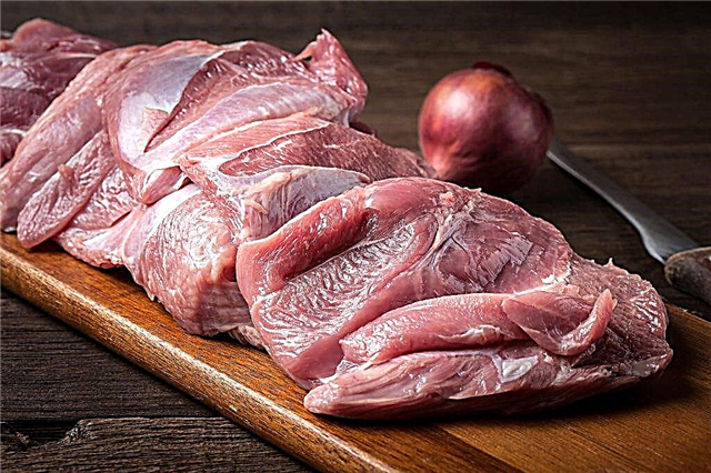 لماذا لحم الديك الرومي مفيد؟