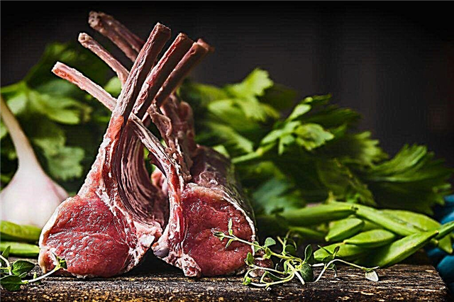 The benefits and harms of lamb for the human body