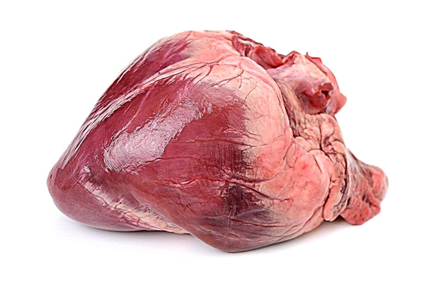 هل قلب لحم الخنزير جيد بالنسبة لك؟