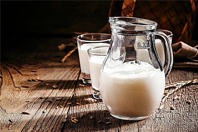 A juh-tej előnyei és káros hatásai