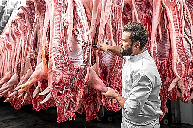 Pork carcass cutting scheme