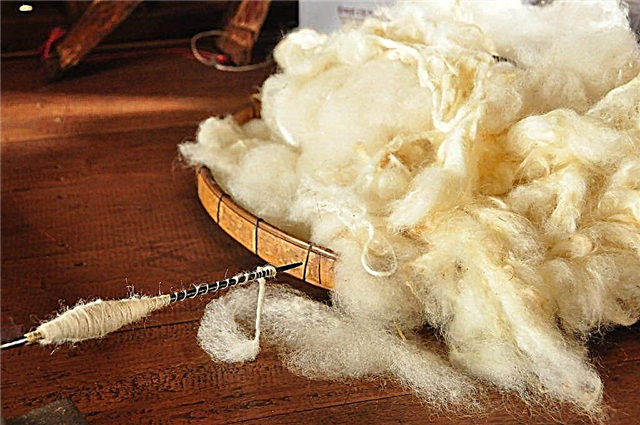 How to wash a sheepskin yourself