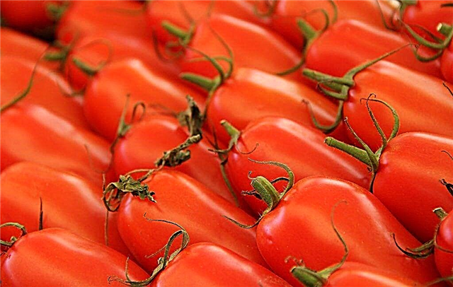 Beschrijving van tomatenrassen Banaan rood, oranje, geel