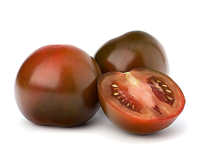 Descripción de los tomates Mikado Black
