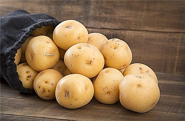 Характеристики на Вега картофи