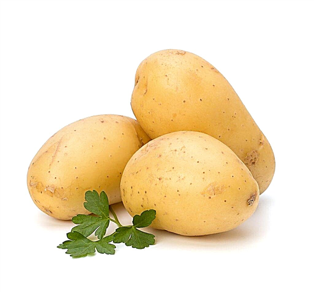 Descrição de batatas Lady Claire